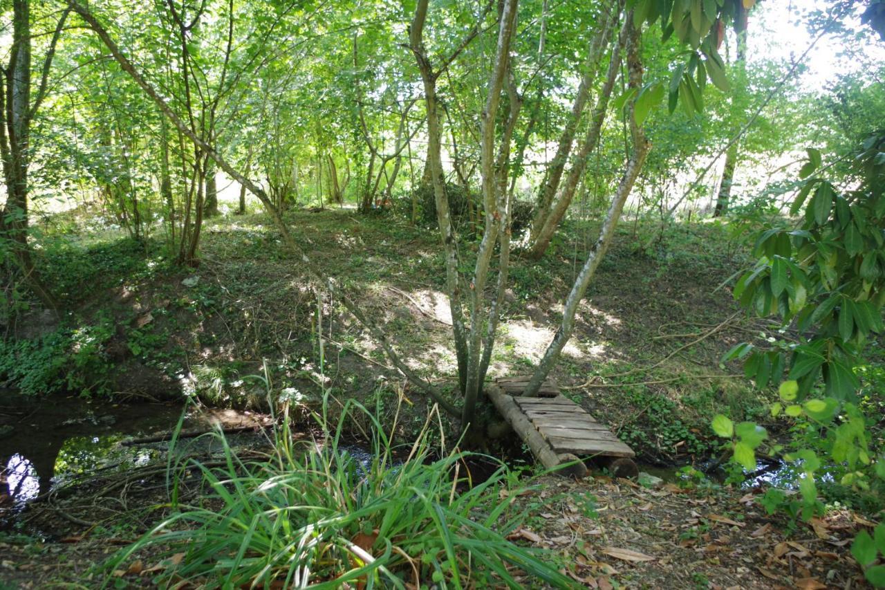 Gite Du Moulin De Vandon Souvigny-de-Touraine Екстериор снимка